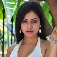 Haripriya New Photo Shoot - Pictures | Picture 115636